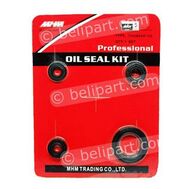 Oil Seal Kit Thunder 125 MHM