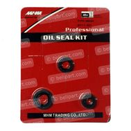 Oil Seal Kit Smash (5 Speed) MHM