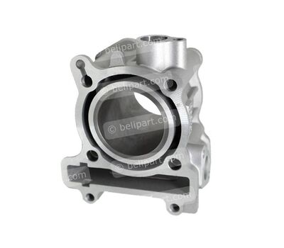Cylinder Block Only Vixion/Xeon